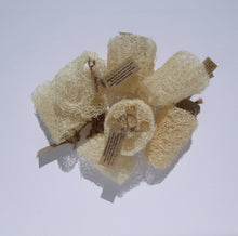 Load image into Gallery viewer, A collection of natural pot scrubbers made from NZ grown loofah
