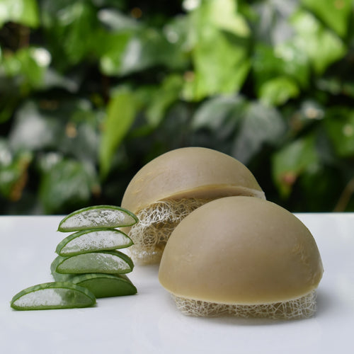 Exfoliating loofah soap with Aloe Vera available at The Loofah Patch