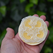 Load image into Gallery viewer, Holding calendula loofah soap | great as a gardeners soap
