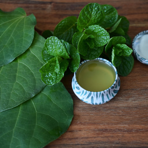 Fresh mint and kawakawa lip balm made with fresh herbs