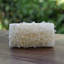 Load image into Gallery viewer, Sea Salt Foot Scrub with Loofah | NZ made at The Loofah Patch
