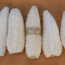 Load image into Gallery viewer, Small Natural NZ Loofah (Luffa)
