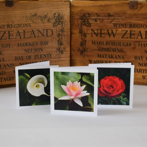 Botancial handmade cards available from The Loofah Patch