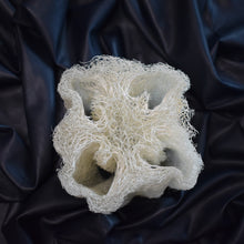 Load image into Gallery viewer, Whole loofah sponge looking from the top | The Loofah Patch
