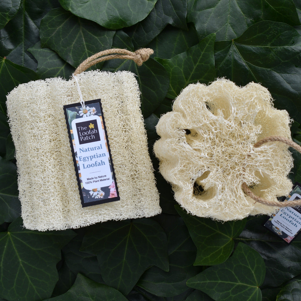 Whole luffa piece for body exfoliation available at THe Loofah Patch