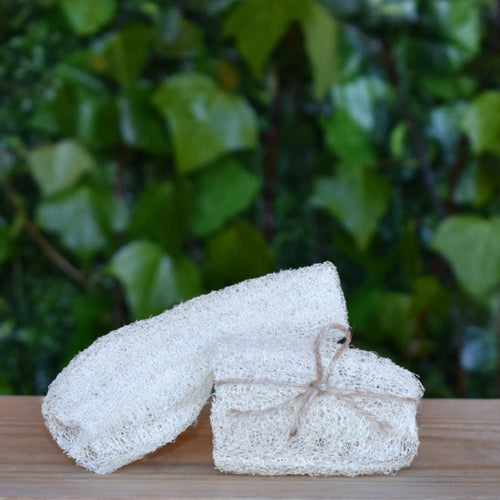 Natural exfoliating face sponge with NZ grown loofah | The Loofah Patch