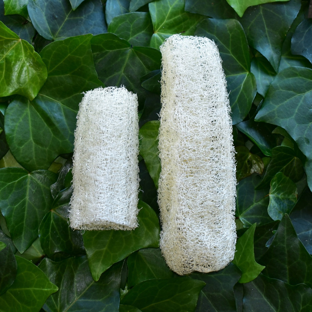 Small and medium NZ loofah grown by The Loofah patch