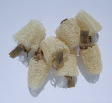 Load image into Gallery viewer, A collection of loofah pot scrubbers from NZ grown loofah
