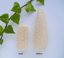 Load image into Gallery viewer, Small and Med Natural Loofah NZ
