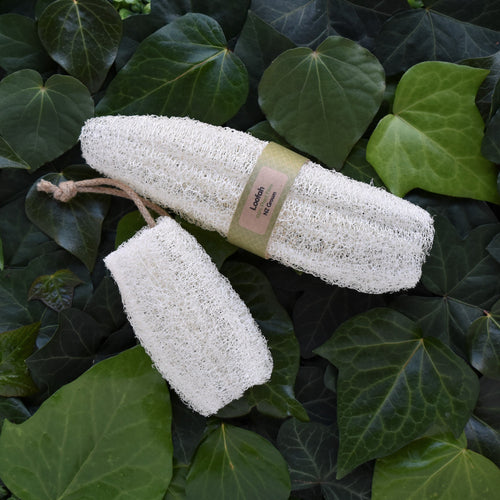 Large and small natural loofah sponge NZ grown by The Loofah patch