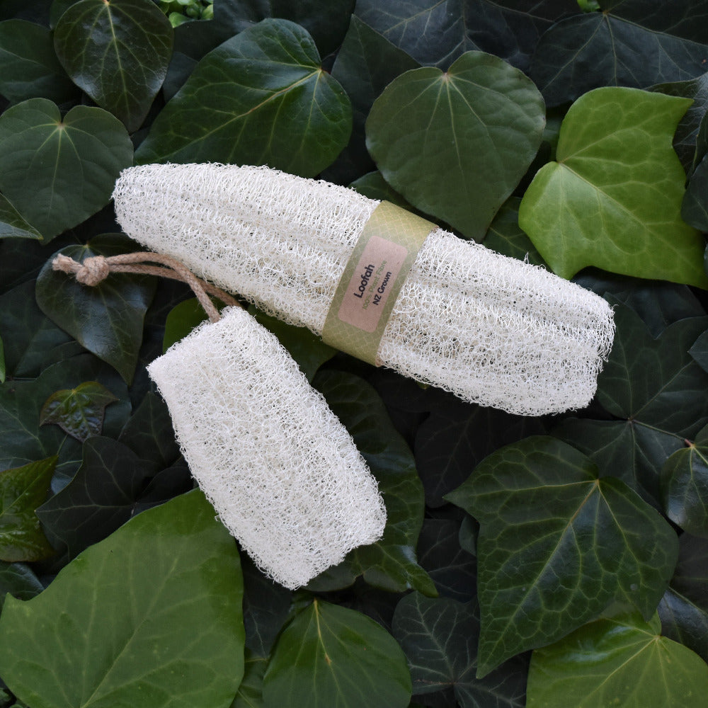 Large and small natural loofah sponge NZ grown by The Loofah patch